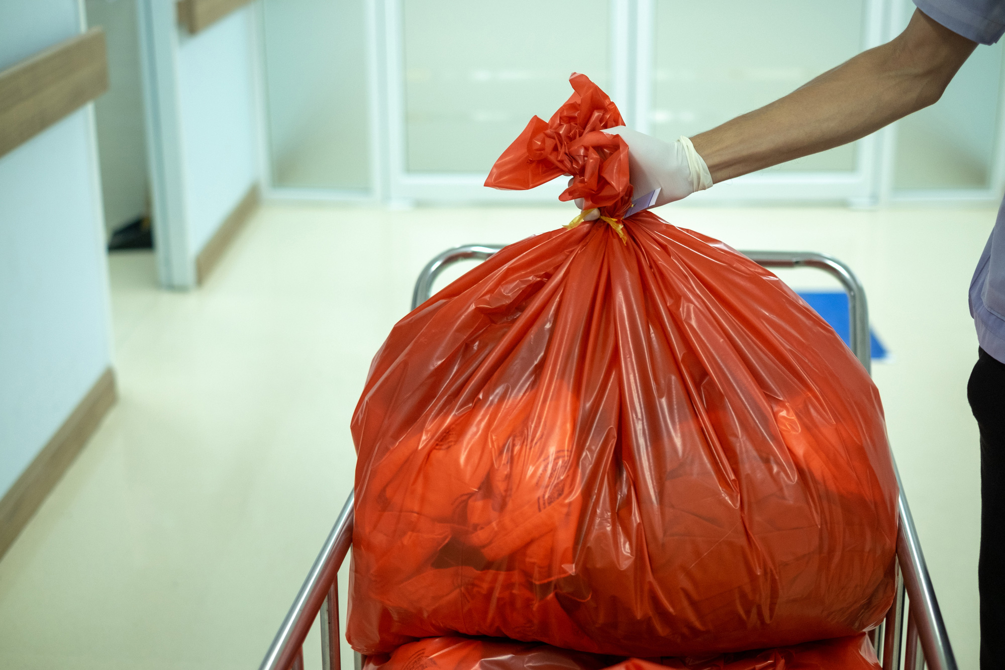 hands picking up Red Bag Disposal in Clearwater, FL ​
